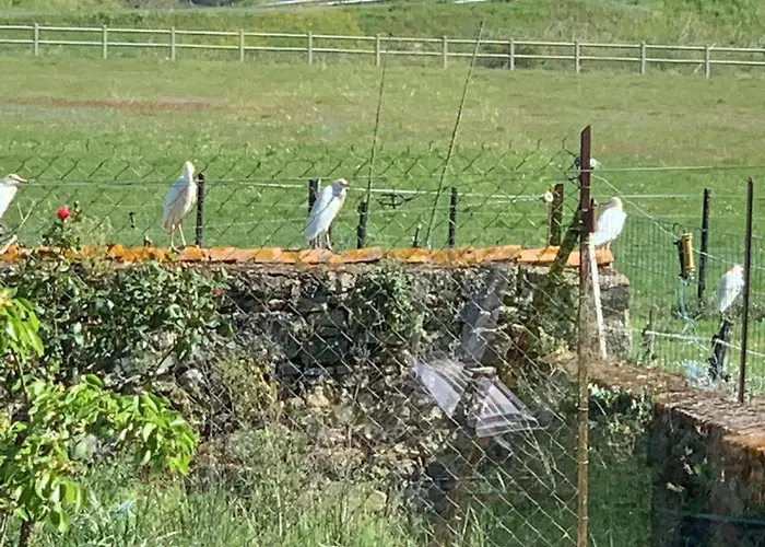 Ferme De La Croix